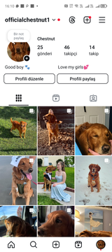  META Aİ YAPAY ZEKA + META STÜDYO 