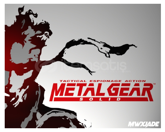 METAL GEAR SOLID MASTER COLLECTION Vol.1  METAL GEAR SOLID MASTER COLLECTION Vol.1