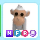 MFR Albino Monkey
