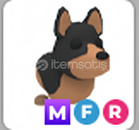 MFR AUSTRALİAN KELPİE