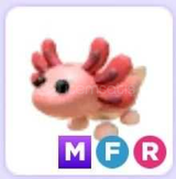 MFR Axolotl/ADOPT ME/EN UCUZU