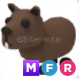 MR Capybara