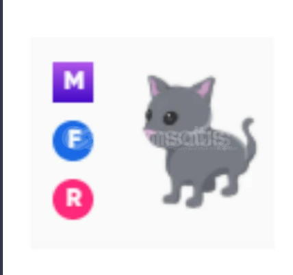 MFR Cat - Adopt Me   MFR Cat - Adopt Me
