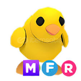 mfr chick