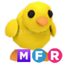MFR Chick