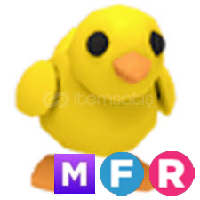 MFR Chick MFR Chick