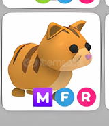 MFR GİNGER CAT | ADOPT ME 