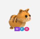 MFR Ginger Cat ( En Ucuz ) MFR Ginger Cat ( En Ucuz )