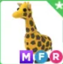 MFR Giraffe EN UYGUNU 
