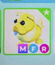 Mfr Golden Chow Adopt Me (en uyguna)