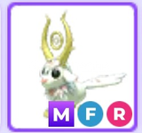 MFR Goldhorn!