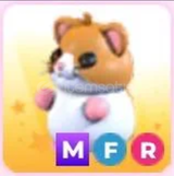 MFR HAMSTER/ADOPT ME/EN UCUZU