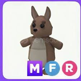 Mfr Kangaroo 