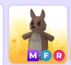 mfr kangaroo HİZLİ TESLİMAT