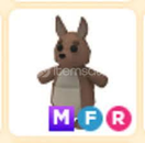 MFR Kangaroo!