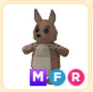MFR KANGURU (ADOPT ME)