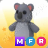 MFR KOALA