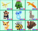 MFR KRALI SAGLAM PETLERDEN MFR KRALI SAGLAM PETLERDEN