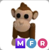 Mfr monkey