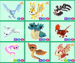 MFR NFR DRAGON PETLERRDEN MFR NFR DRAGON PETLERRDEN