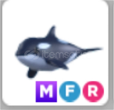 MFR Orca