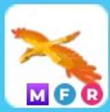 MFR Phoenix (EN UCUZU)