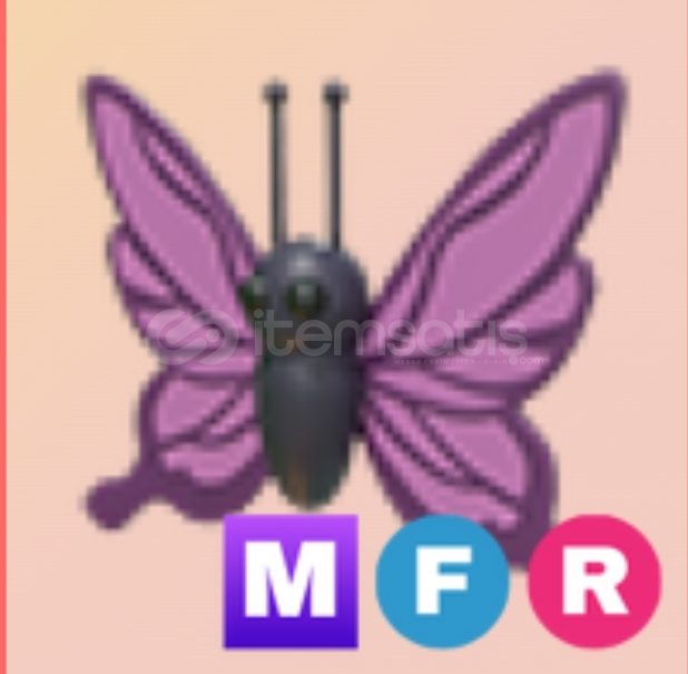 MFR Purple Butterfly  MFR Purple Butterfly