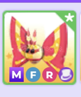 Mfr rosy maple (legendary pet) 