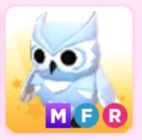 MFR SNOW OWL