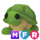 MFR Turtle