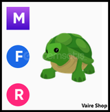 MFR Turtle