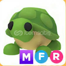 MFR Turtle! MFR Turtle!