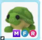 MFR TURTLE ADOPT ME