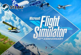 MİCROSOFT FLIGHT SIMULATOR -KİŞİYE ÖZEL HESAP