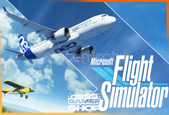 Microsoft Flight Simulator: Premium (Online) Microsoft Flight Simulator: Premium (Online)