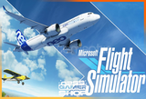 Microsoft Flight Simulator: Premium (Online)