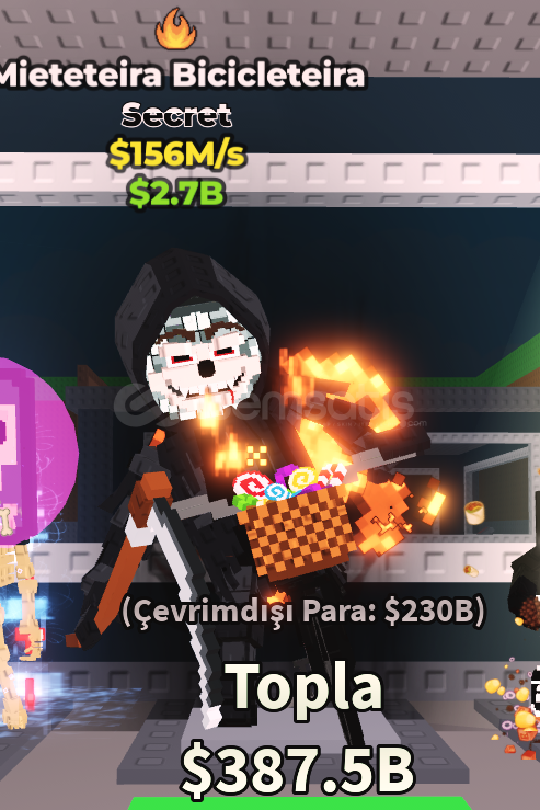 MİETETEİRA BİCİCLETEİRA MUTASYON MİETETEİRA BİCİCLETEİRA MUTASYON