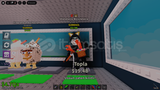 Mieteteira Bicicleteira Og Efektli 283m/s