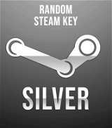 Max. 450 TL Steam Random Silver Key