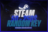 Min 50-250$ / 1700-8500₺ Steam Key 