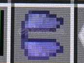 Minecraft ChickenSMP Elytra