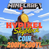 Minecraft Hypixel Skyblock 100m Coin