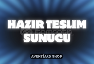 MINECRAFT SUNUCU KURULUM/TESLİM PAKETİ
