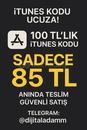 Mobil Uyumlu Dijital Item 100 TL LİK