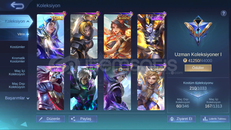 Mobile Legends Premium Koleksiyon Hesabı Mobile Legends Premium Koleksiyon Hesabı