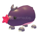 Mole (UCUZ) Adopt me