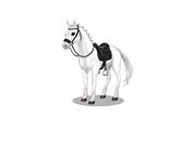 Mona Pet - MSP 2 Mona Pet - MSP 2