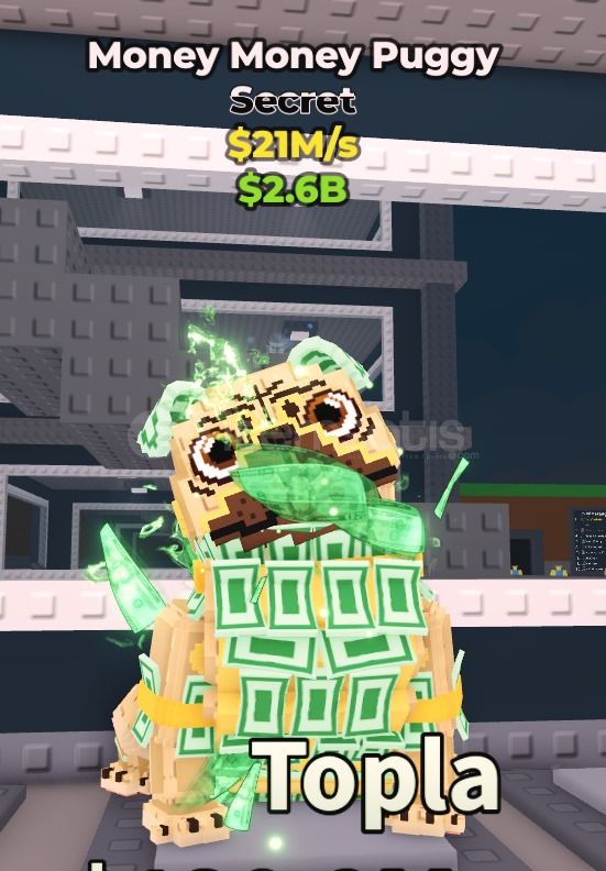 Money money puggy 21M/S Sab Money money puggy 21M/S Sab