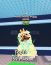 Money money puggy 63M/s