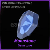 MOONSTONE FİSCH